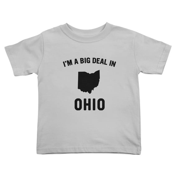 I'm A Big Deal in Ohio Cute Toddler T Shirts for Boys Girls (Gray, Youth L)