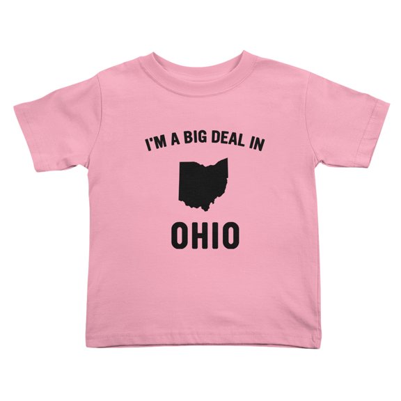 I'm A Big Deal in Ohio Cute Toddler T Shirts for Boys Girls (Pink, Youth L)