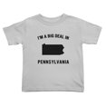 thumbnail image 1 of I'm A Big Deal in Pennsylvanias Cute Toddler T Shirts for Boys Girls (Gray, 3T), 1 of 5