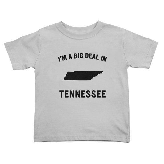 I'm A Big Deal in Tennessee Cute Toddler T Shirts for Boys Girls (Gray, Youth M)