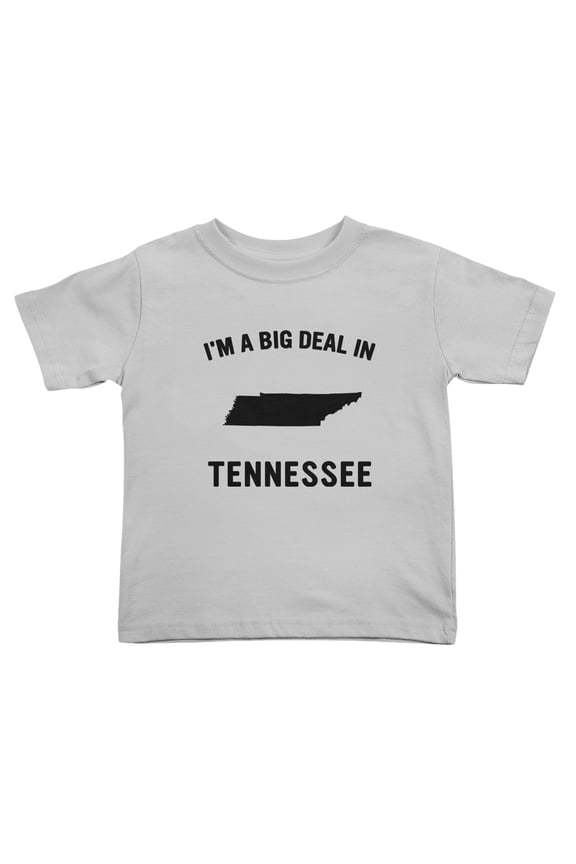 I'm A Big Deal in Tennessee Cute Toddler T Shirts for Boys Girls (Gray, Youth XL)