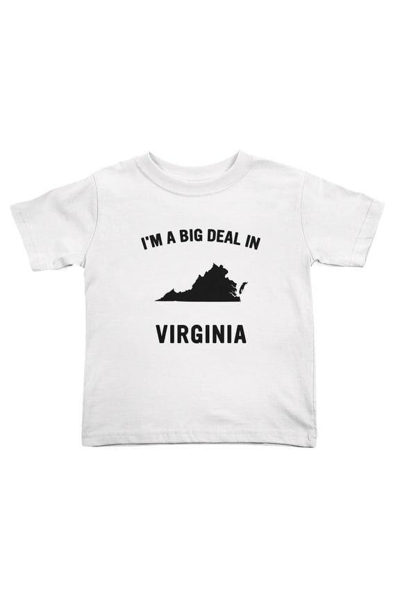 I'm A Big Deal in Virginia Cute Toddler T Shirts for Boys Girls (White, Youth M)