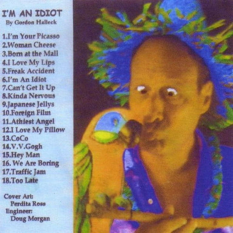 you are an idiot! (lyrics) 