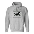 thumbnail image 1 of I'm As Healthy As A Horse Adult Hooded Sweatshirt, 1 of 3