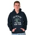 thumbnail image 1 of I'm From NY Proud NYC New Yorker Hoodie Sweatshirt Women Men Brisco Brands M, 1 of 5