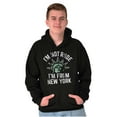 thumbnail image 1 of I'm From NY Proud NYC New Yorker Hoodie Sweatshirt Women Men Brisco Brands S, 1 of 5