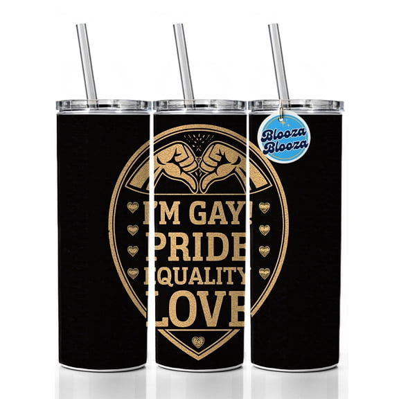 I'm Gay Pride Equality Love 20oz Insulated Water Bottle Skinny Tumbler Includes Straw