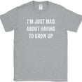 thumbnail image 1 of I'm Just Mad About Having To Grow Up T-Shirt Funny Adult Adulting Humor Tee - Heather Grey, 4XL, 1 of 1