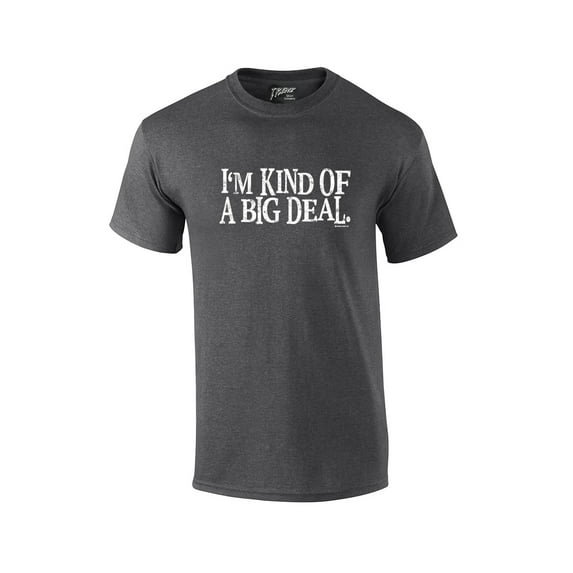I'm Kind of An Important Person Funny Humor Sarcasm Novelty Short Sleeve-HeatherGray-XL