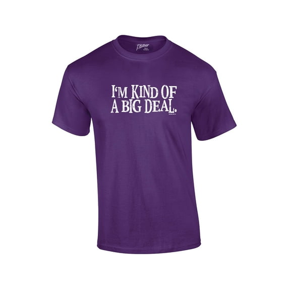 I'm Kind of An Important Person Funny Humor Sarcasm Novelty Short Sleeve-Purple-4Xl