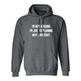 thumbnail image 1 of I'm Not Arguing I'm Just Explaining Adult Hooded Sweatshirt, 1 of 3