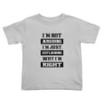 thumbnail image 1 of I'm Not Arguing I'm Just Explaining Why I'm Right Cute Toddler T-Shirts for Boys Girls (Gray, 5/6T), 1 of 5