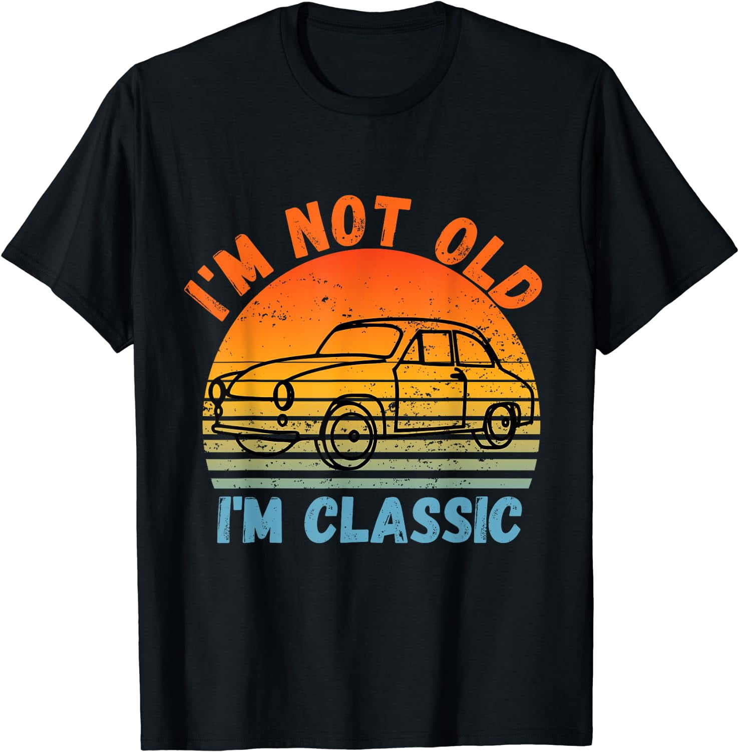 I Am Not Old I Am a Classic 1948 Funny Birthday Gift T-Shirt