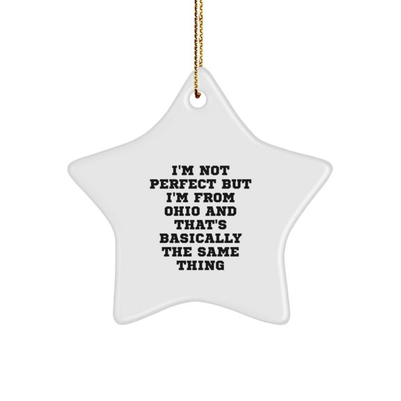 'I'm Not Perfect But I'm From Ohio And That's Basically The Same Thing' Funny Ohio Star Ornament Gifts from Friends and Family for Ohio