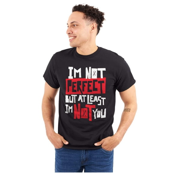 I'm Not Perfect Funny Insulting Men's Graphic T Shirt Tees Brisco Brands S