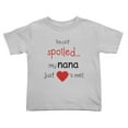 thumbnail image 1 of I'm Not Spoiled My NaNa Just Loves Me Cute Toddler T Shirts for Boys Girls (Gray, Youth XL), 1 of 5