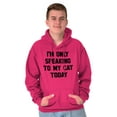thumbnail image 1 of I'm Only Speaking to My Cat Today Hoodie Sweatshirt Women Men Brisco Brands S, 1 of 6
