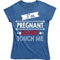 thumbnail image 1 of I'm Pregnant Do Not Touch Me - Funny Rude Attitude Women's Gift T-Shirt, 1 of 4