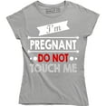 thumbnail image 1 of I'm Pregnant Do Not Touch Me - Funny Rude Attitude Women's Gift T-Shirt, 1 of 4