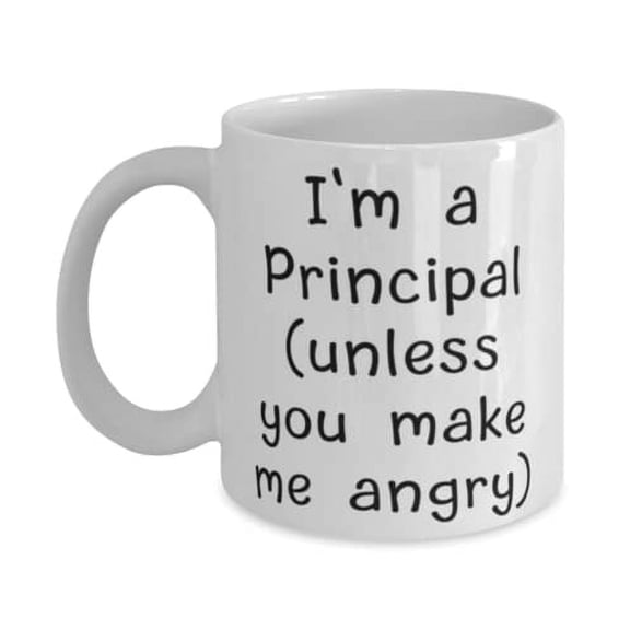 I'm a Principal (unless you make me angry) Principal 15oz Mug, New Principal Gifts, Cup For Colleagues from Team Leader, Unique principal gifts ideas, Best unique principal gifts, Personalized