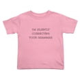 thumbnail image 1 of I'm Silently Correcting Your Grammar Cute Toddler Tshirts for Boys Girls (Pink, Youth S), 1 of 5