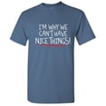 thumbnail image 1 of I'm Why We Can't Have Nice Things Hilarious Tshirt Novelty Humor Graphic Tees Silly Sarcastic Saying Gift For Xmas Anniversary Birthday Black Day Funny Mens T Shirt, 1 of 5