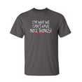 thumbnail image 1 of I'm Why We Can't Have Nice Things Sarcastic Humor Graphic Novelty Funny Youth T Shirt, 1 of 1