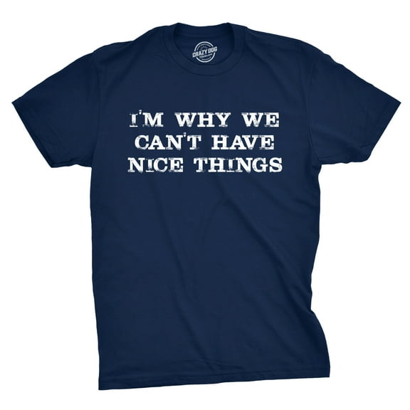 I'm Why We Can't Have Nice Things T Shirt Funny Sarcastic Humor Quote Graphic Tees