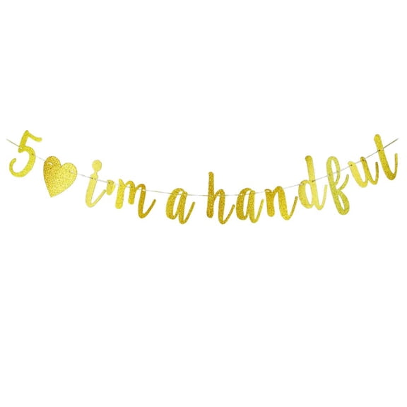 I'm a Handful Banner For 5th Birthday Party Decorations, Funny 5th Birthday/Anniversary Party Sign