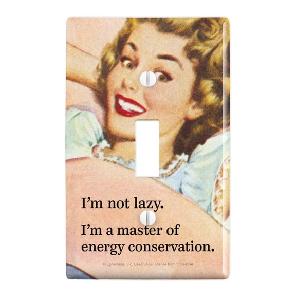 I'm not Lazy Master of Energy Conservation Funny Humor Plastic Wall Decor Toggle Light Switch Plate Cover
