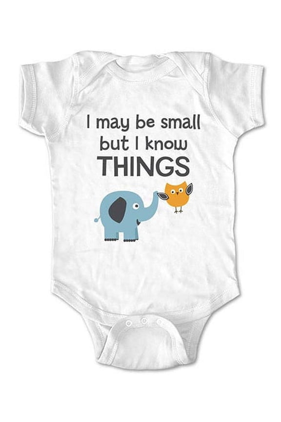 I may be small but I know Things - wallsparks cute & funny Brand - baby one piece bodysuit - Great baby shower gift!