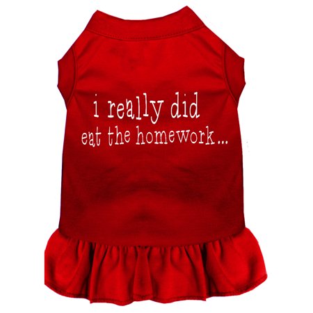 I really did eat the Homework Screen Print Dress