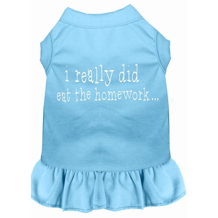 I really did eat the Homework Screen Print Dress