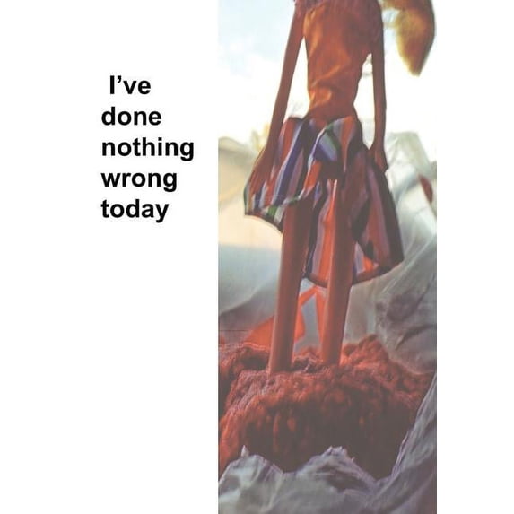 I've Done nothing wrong today (Paperback)