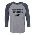 thumbnail image 1 of I've Got Friends In Low Places Unisex 3/4 Sleeve Baseball Raglan Tee, 1 of 2