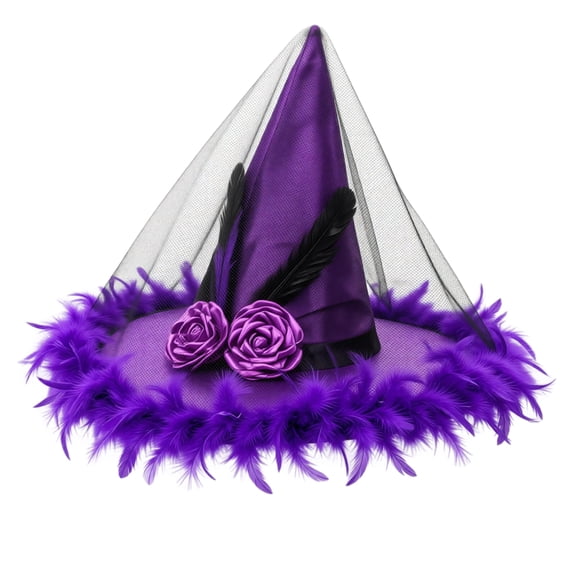 IAJDKMEK Halloween Witch Hat with Feather – Decoration Costume Party Wizard Hat for Women Halloween Costumes Dress Up