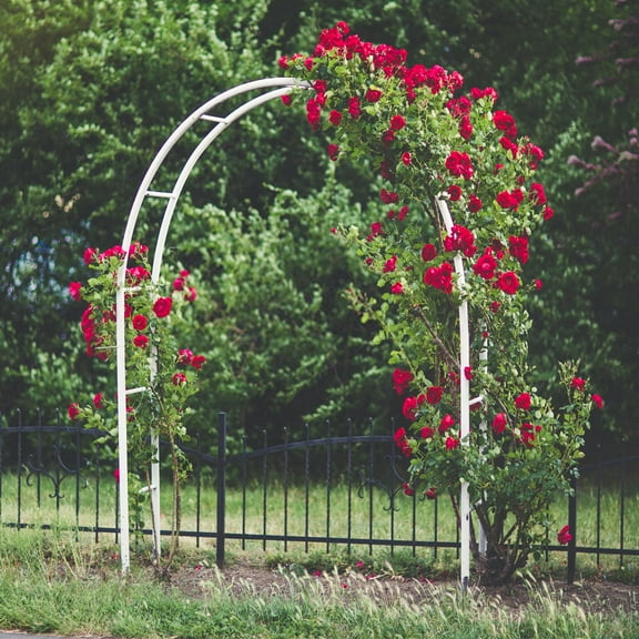 IAJXWI Metal Garden Arch Trellis for Wedding Party Decoration , Arched Arbor Flower Plant Support Frame Stand, 7.9'H x 4.6'L x 1.25'W, White