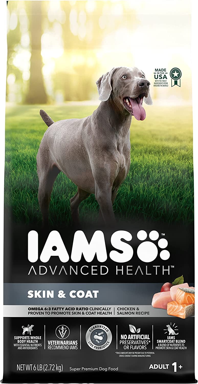 Iams grain free clearance dog food salmon