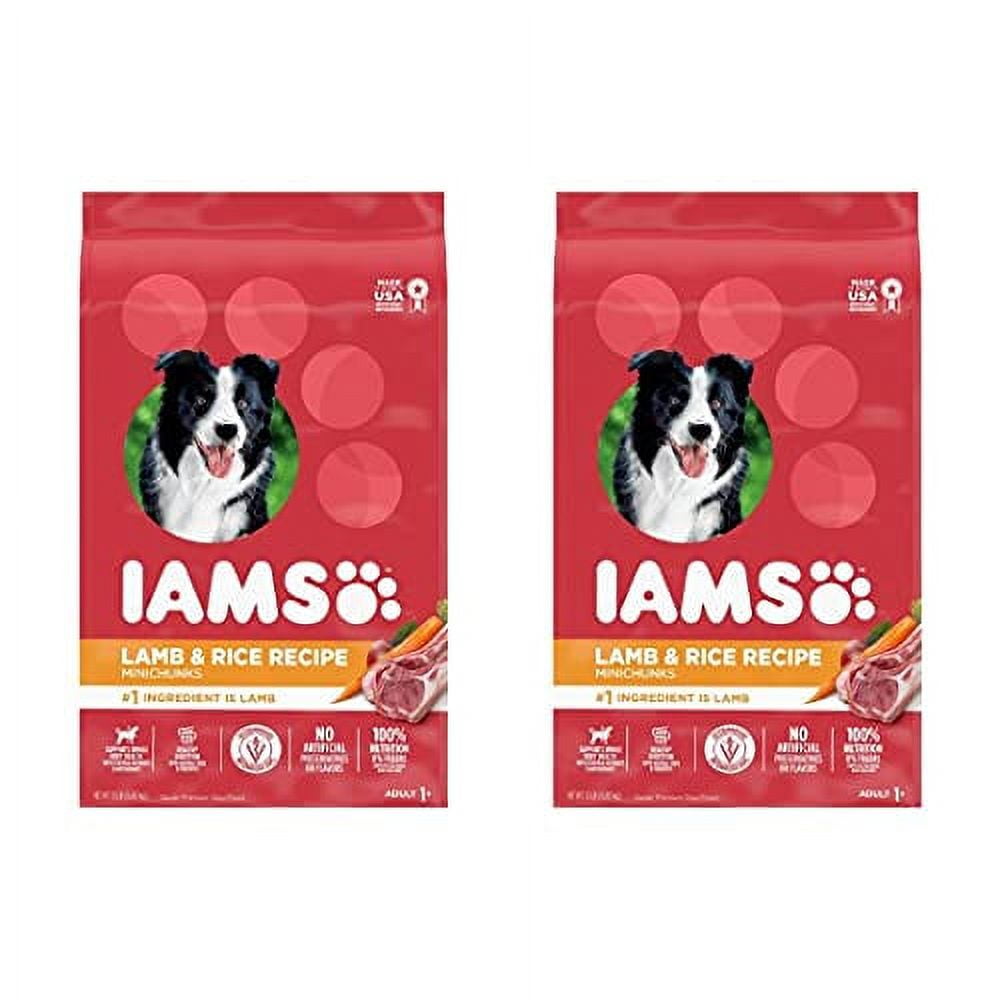IAMS Minichunks Adult Dry Dog Food, Lamb (Pack of 2 )