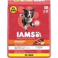 thumbnail image 1 of IAMS Minichunks Lamb & Rice Flavor Dry Dog Food for Adult Dog, 38.5 lb Bag, 1 of 10