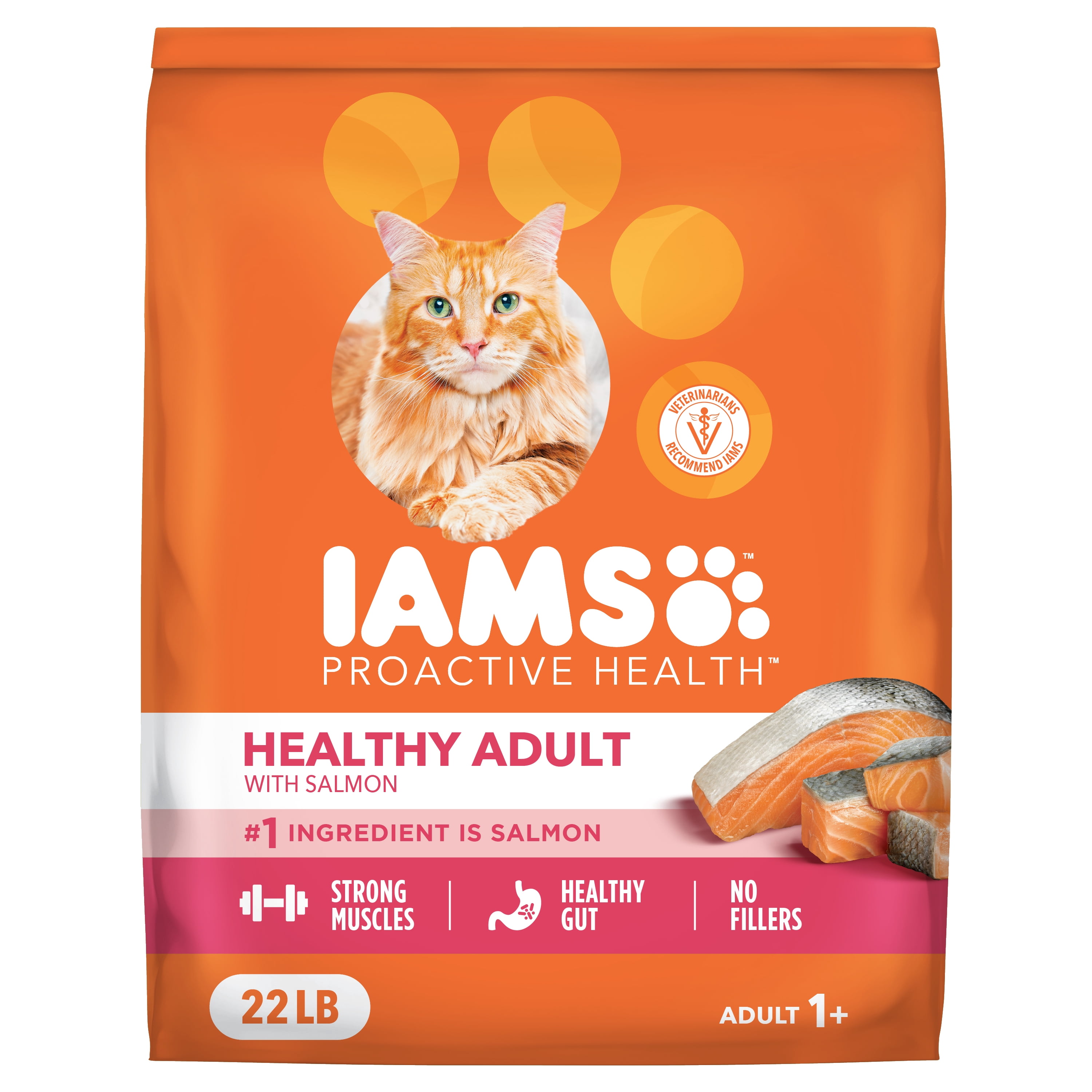 IAMS Proactive Health Adult Dry Cat Food with Real Salmon, 22 lb