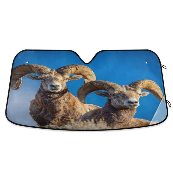 Iauyy Foldable Windshield Sun Shade for Cars, Interior Sun Protection for car UV Protection for Sedan/SUV/Truck, (S/M/L) Natural Forces