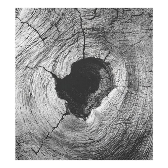 IAUYY Magnetic Decorative -23x26 Inch,Removable DIY Art for Dishwasher Refrigerator and Other Metal Surfaces,The Trunk Of An Old Tree