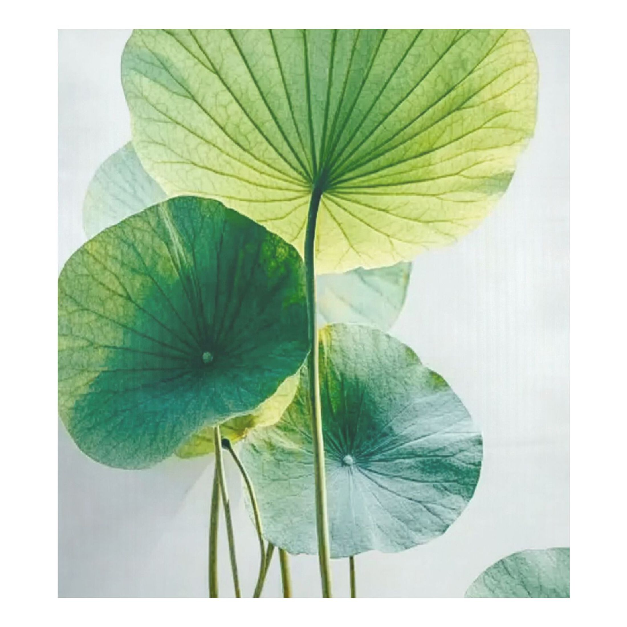 IAUYY Magnetic decorative sticker - 23x26 Inch PVC Refrigerator Decorative Cover, Removable DIY Art for Kitchen Appliances Green Leaf
