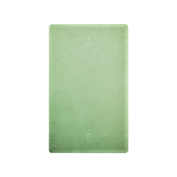 IAUYY Retardant PC Material Unused Outlet Cover Switch Plate Covers Easy DIY Installation with Screws Light Switch Cover Plate A Light Green