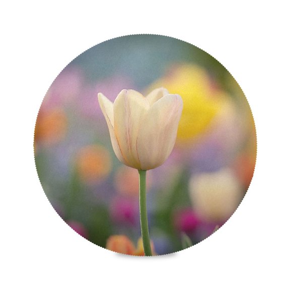 IAUYY Set of 1 Round Placemats for Dining Tables Heat-Resistant and Wear-Resistant DIY Printing Design Table Placemats,Applicable for Christmas A Solitary Pale Yellow Flower