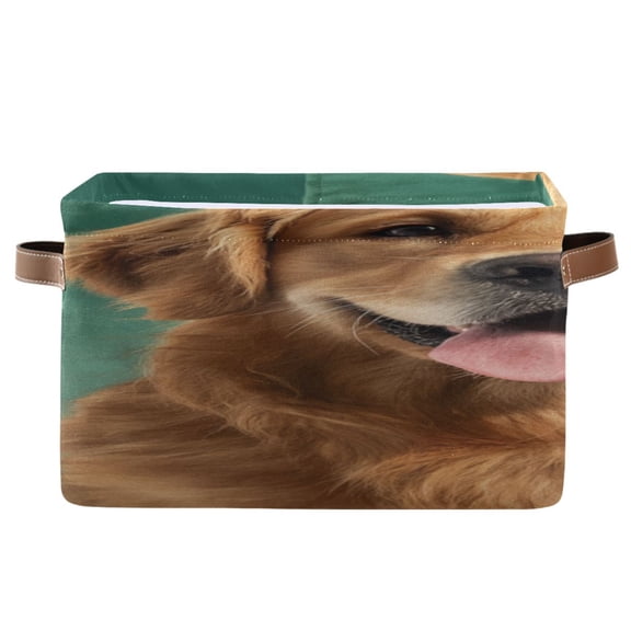 IAUYY Set of 1 Storage Cubes with Handles-Not Prone to Deformation Canvas Storage Baskets for Bedroom Closet Living Room Decorative Storage Baskets Pet Picture