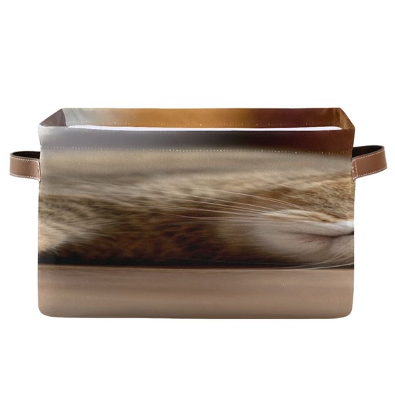 IAUYY Set of 2 Storage Cubes with Handles-Not Prone to Deformation Canvas Storage Baskets for Bedroom Closet Living Room Decorative Storage Baskets Scottish Fold