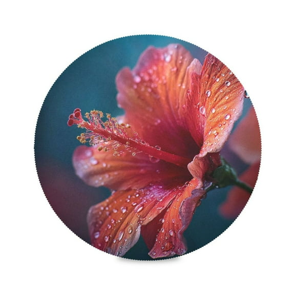 IAUYY Set of 4 Round Placemats for Dining Tables Heat-Resistant and Wear-Resistant DIY Printing Design Table Placemats，Applicable for Christmas Bright Red Hibiscus Flowers