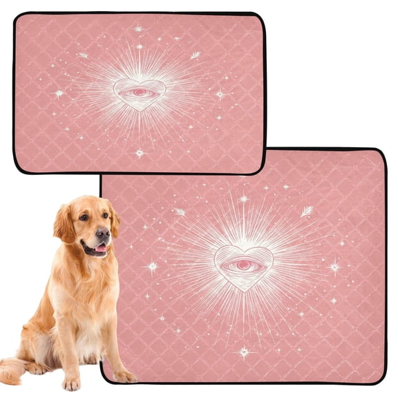 IAUYY Washable Pee Pads for Dogs Medium+Large Absorbent and Leak-Proof Non-Slip Reusable Puppy Pee Pads for Dogs Applicable to Playpen Potty Crate All-seeing Eye